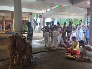Diwali Celebration